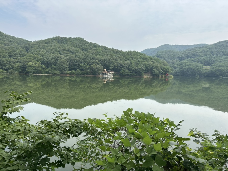 충남 청양 가볼만한곳 칠갑산 천장호 출렁다리 충남 여행지 포토존