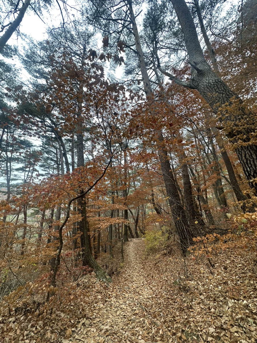 문경 주흘산 단풍산행 문경세재 1관문 등산코스