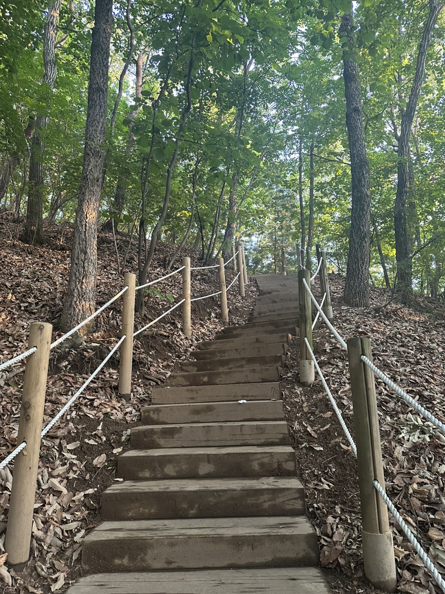 용인 석성산 등산코스 백현고등학교 동백순환산책로 갈림길 정상