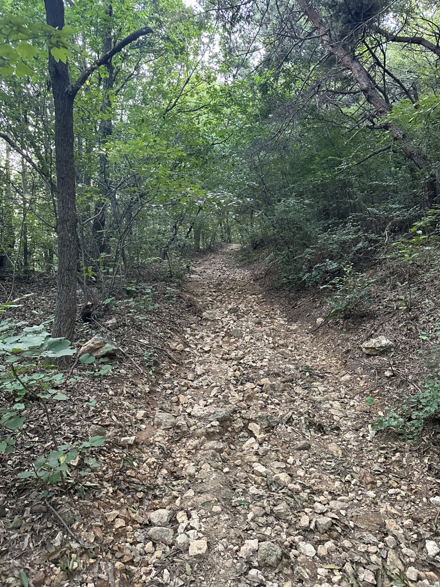 용인 조비산 산행 등산코스 조비산가든 동굴 정상 원점