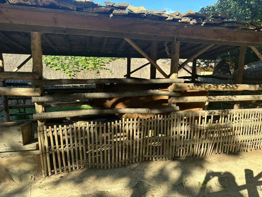 용인 가볼만한곳 한국민속촌 용인민속촌 이용시간 놀거리 볼거리 입장료 할인정보