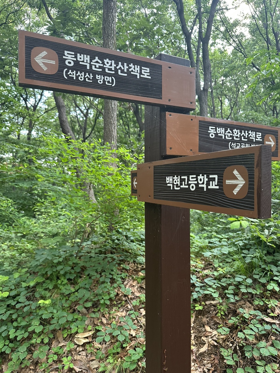 용인 석성산 등산코스 백현고등학교 동백순환산책로 갈림길 정상