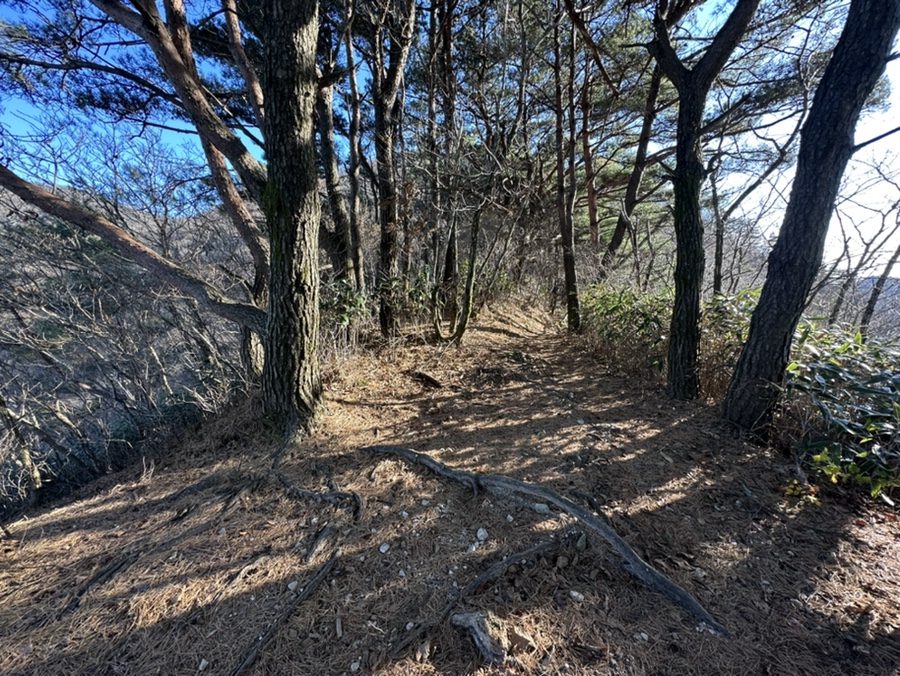 전북 진안 운장산 최단코스 운장산휴게소