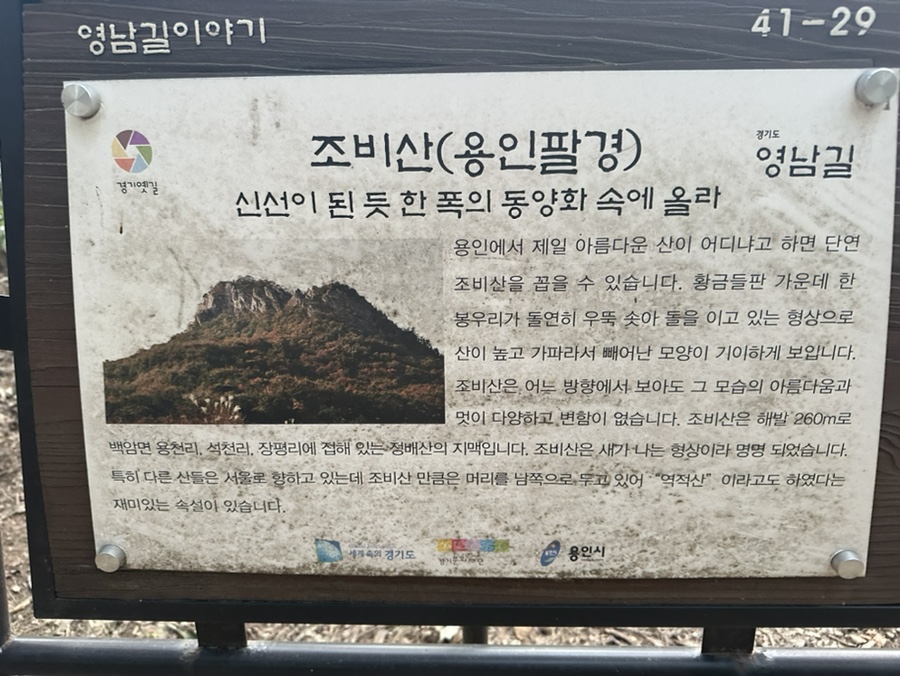 용인 조비산 산행 등산코스 조비산가든 동굴 정상 원점