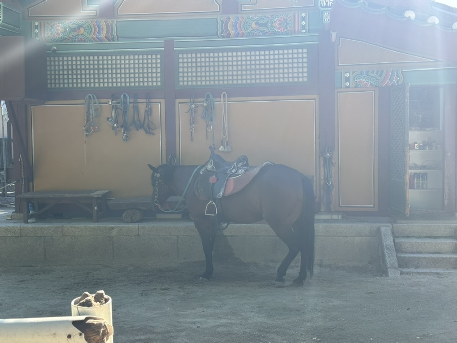 용인 가볼만한곳 한국민속촌 용인민속촌 이용시간 놀거리 볼거리 입장료 할인정보