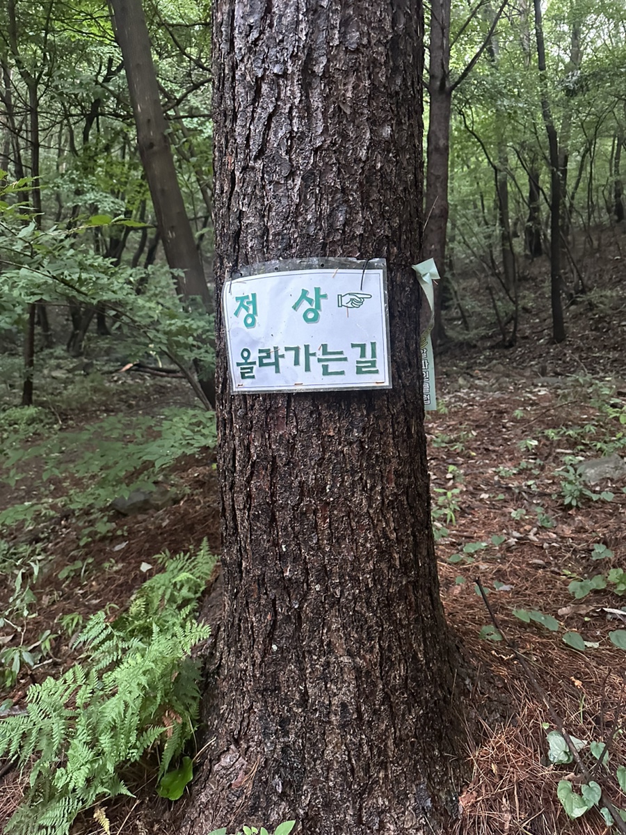보령 오서산 최단코스 오서산 자연휴양림  월정사 정상 원점회귀