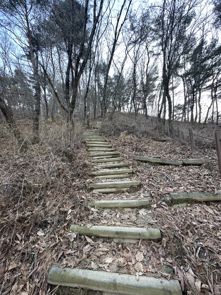 강원도 원주 배부른산 등산코스 원주굽이길 1코스