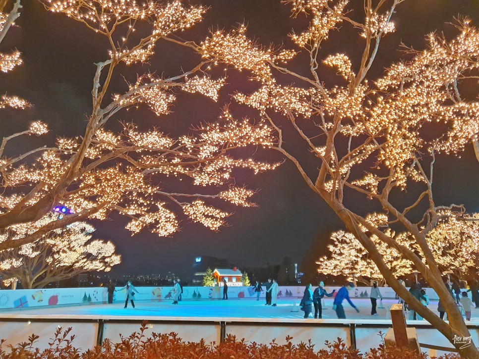 서울 호캉스 추천 그랜드 하얏트 서울 아이스링크 트리 조식 라운지 수영장
