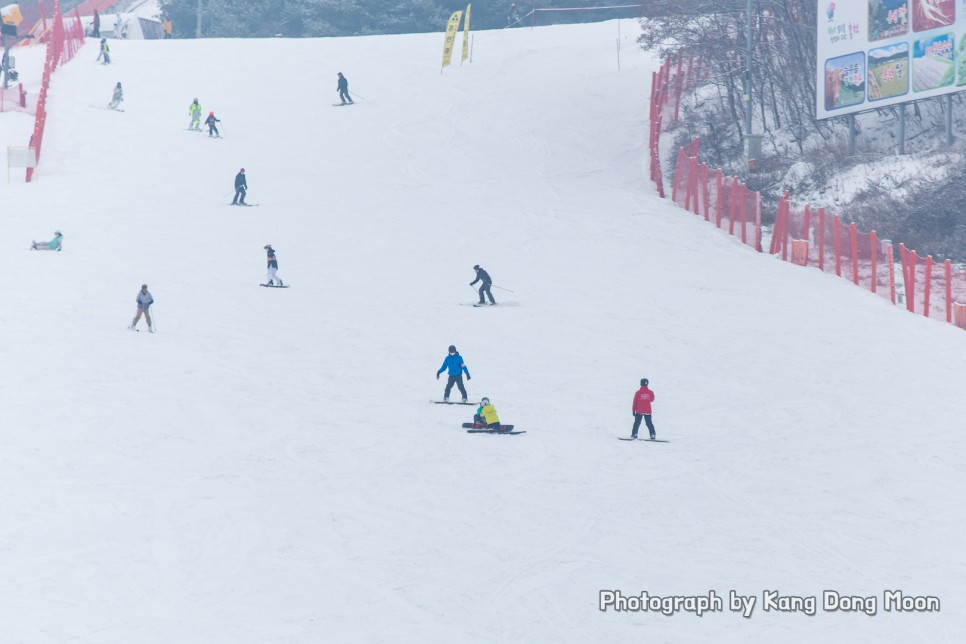 홍천 비발디파크 스키 타러 간다면 비발디파크 스키강습 받고 스키장 즐기세요
