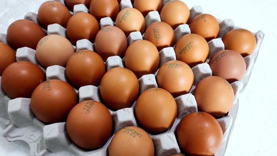 압력밥솥 구운계란 맥반석계란 만드는법 훈제계란 만들기 다이어트식 계란요리