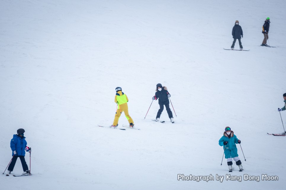 홍천 비발디파크 스키 타러 간다면 비발디파크 스키강습 받고 스키장 즐기세요