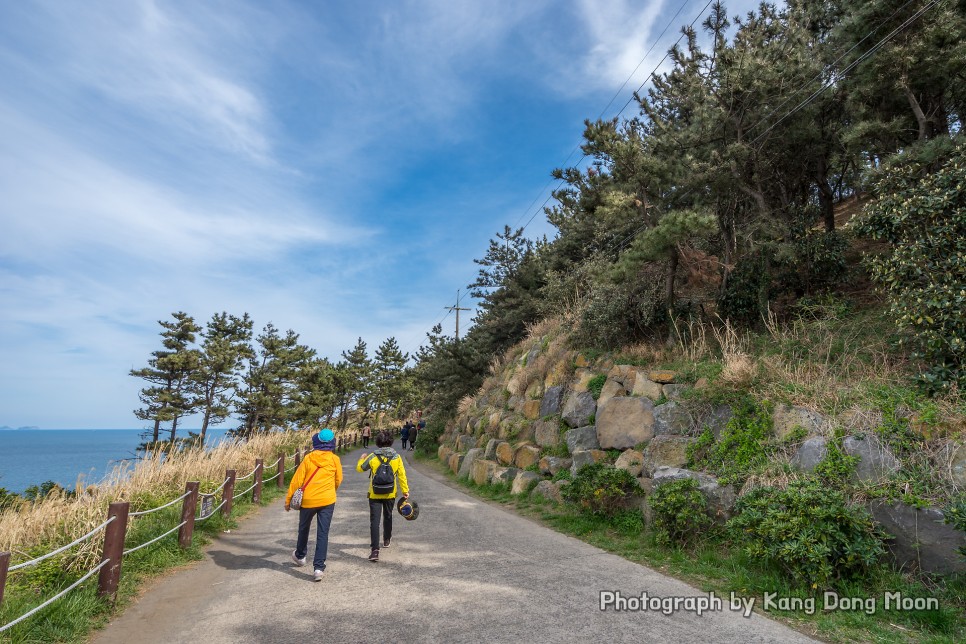 1월 2월 제주도 가볼만한곳 제주도 서귀포 여행 코스 제주 용머리해안 송악산 둘레길