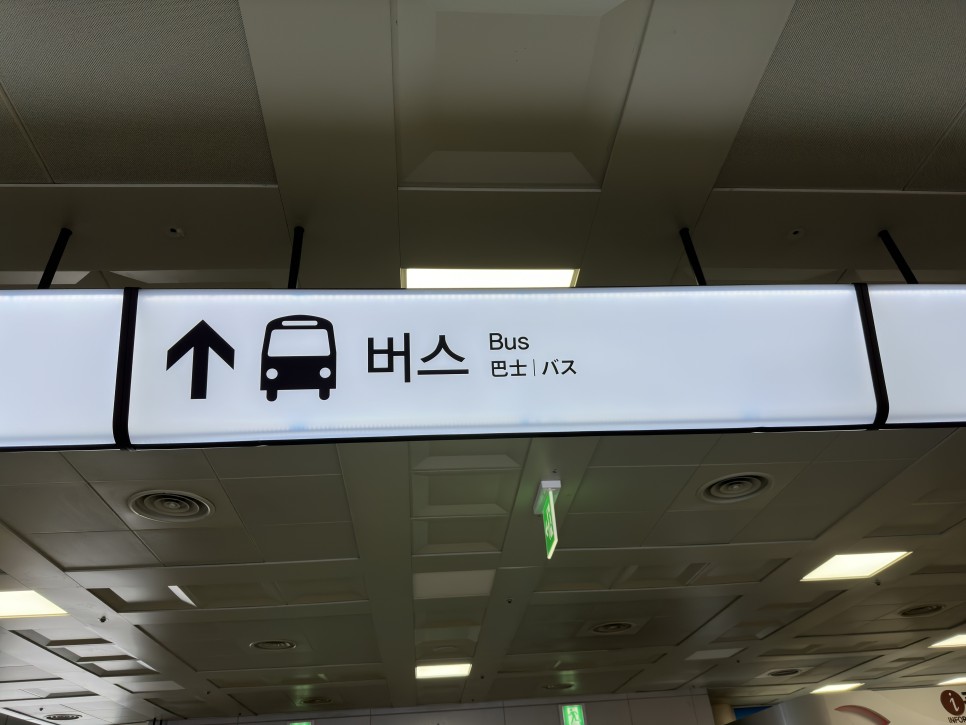 서울 여수 아시아나 항공 비행기 이용 후기 + 여수에서 험난한 버스 타기