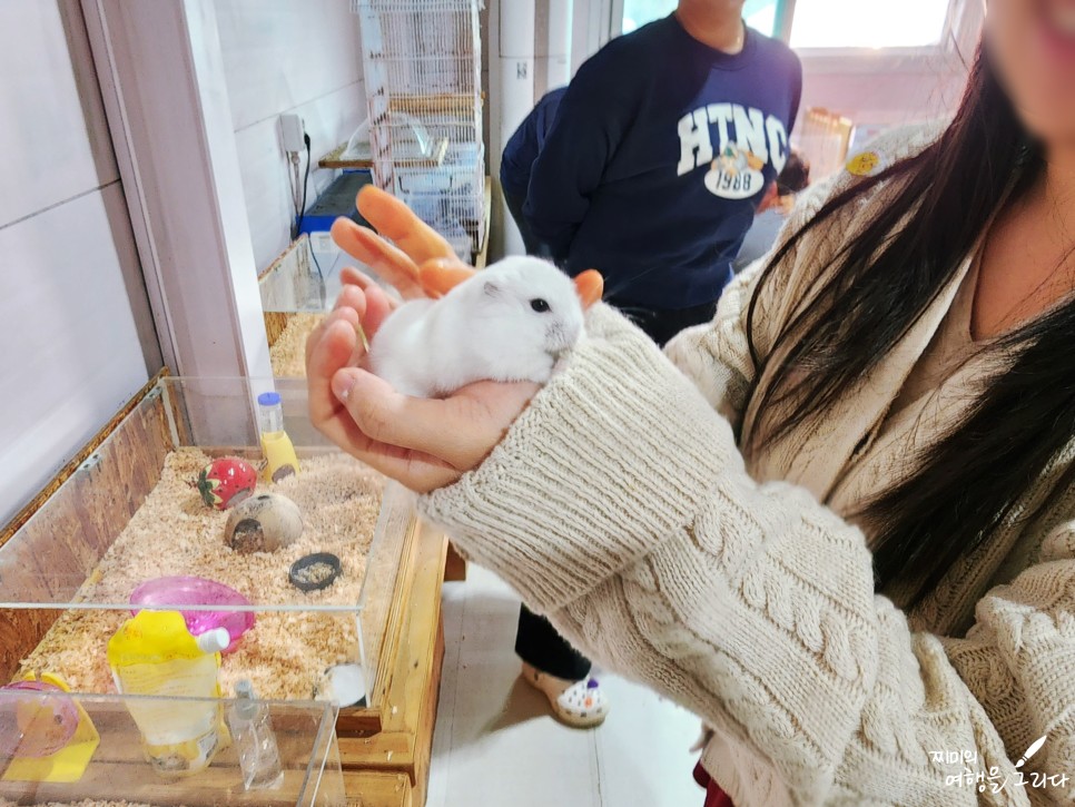 경기도 여주 주주팜 가볼만한곳 동물 체험 여행 동물원 카페