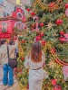 서울 크리스마스 여행 국내 겨울 여행지 추천 12월 가볼만한곳 데이트