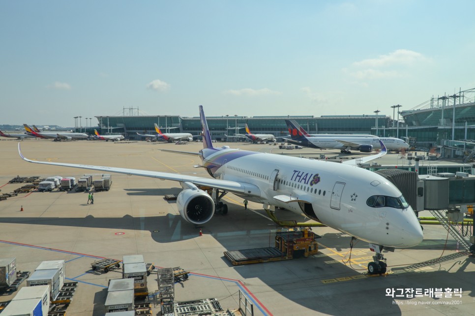 태국여행 방콕 항공권 타이항공 VS에어프레미아 탑승후기