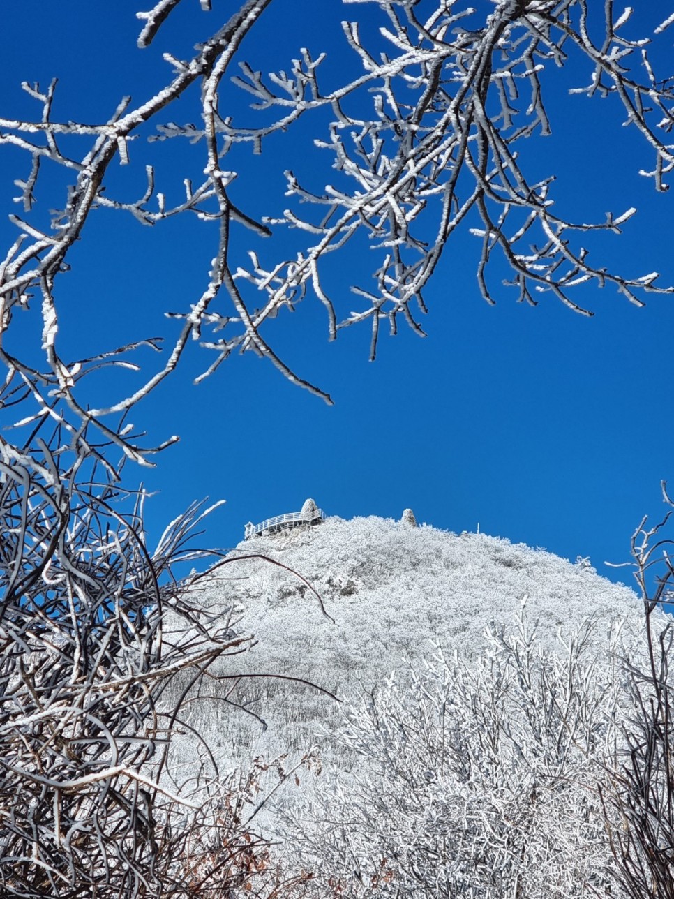 치악산 등산, 상고대와 눈꽃으로 가득했던 설경 산행 (부곡탐방코스)