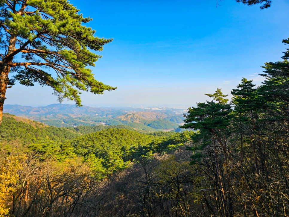 겨울에도 푸른 모습을 만날 수 있는, 숲길 트레킹 4 :: 가평 잣향기 푸른숲, 강릉 대관령소나무숲길, 서울 우이동 솔밭근린공원, 평창 오대산 월정사 전나무 숲길, 겨울 트레킹