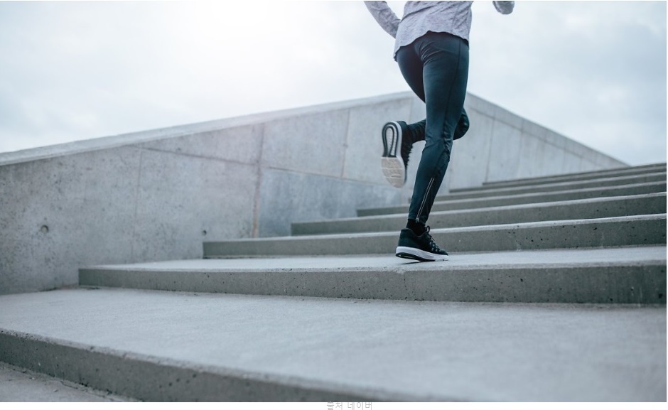 골다공증 좋은 운동 계단오르기 아파트 계단 운동 효과 칼로리 운동방법