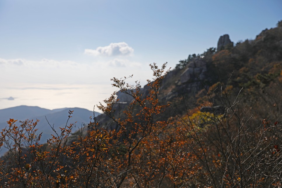 [한려해상국립공원 상주 금산지구] 바위글씨가 가득한 남해 금산, 보리암