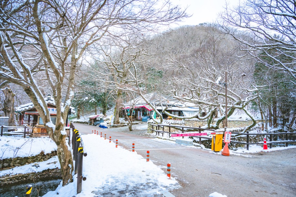 전라도 정읍 백양사 쌍계루 눈 오는 날 당일치기 여행