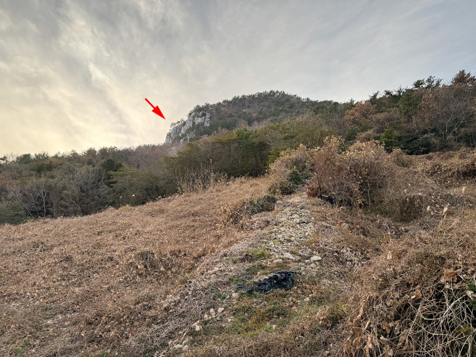 [블랙야크 섬&산] 여수 백야도 백호산 주봉 (1봉~3봉) 원점회귀