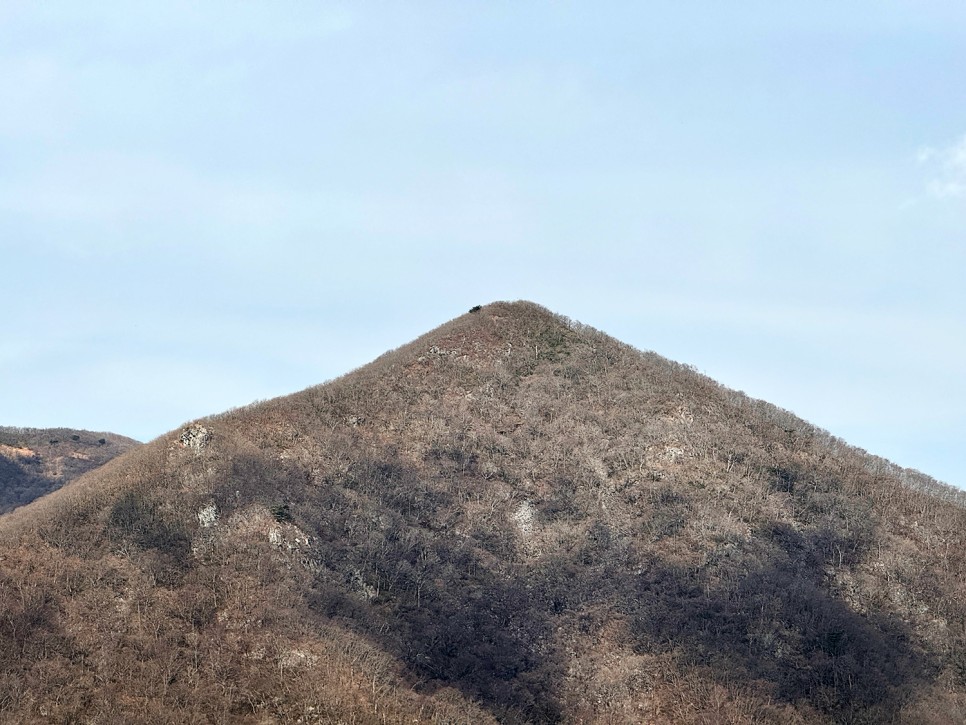 [89] 순천 조계산 반바퀴 등산, 선암사 원점회귀 (보리밥 x)