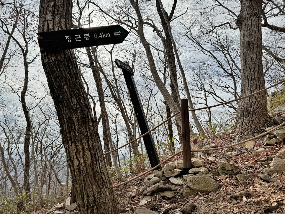 [89] 순천 조계산 반바퀴 등산, 선암사 원점회귀 (보리밥 x)