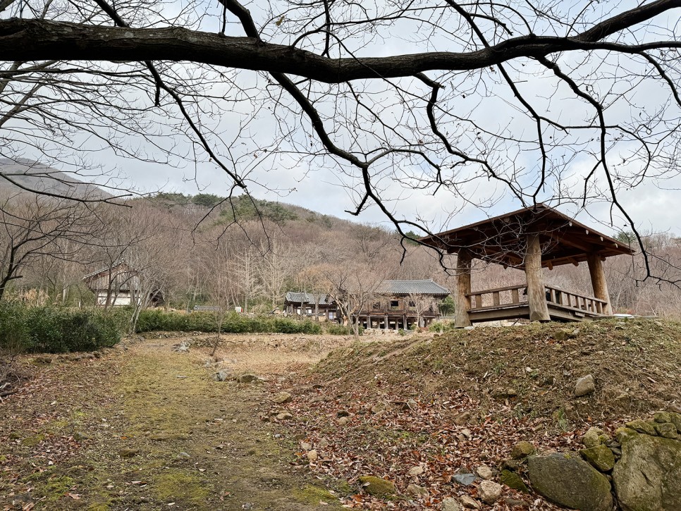 [89] 순천 조계산 반바퀴 등산, 선암사 원점회귀 (보리밥 x)