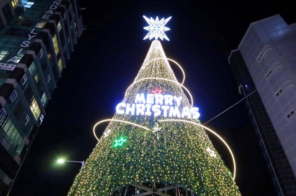 부산 빛축제 해운대 빛축제 시간 부산 겨울 크리스마스 여행