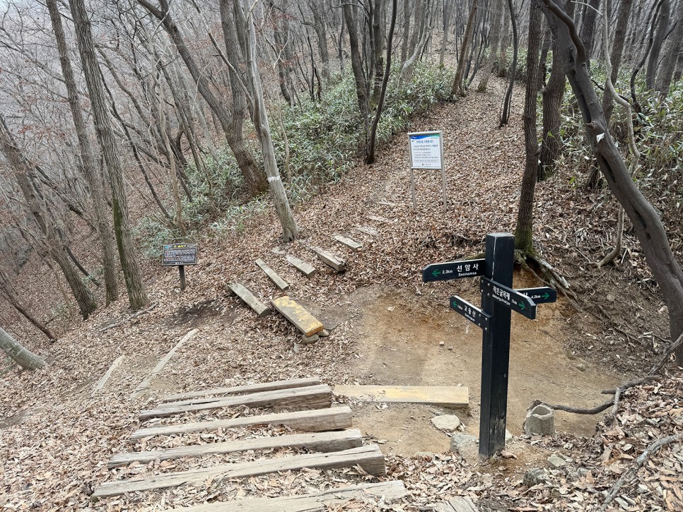 [89] 순천 조계산 반바퀴 등산, 선암사 원점회귀 (보리밥 x)