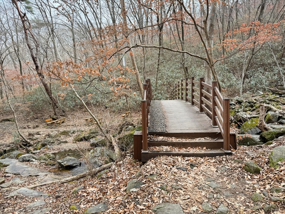 [89] 순천 조계산 반바퀴 등산, 선암사 원점회귀 (보리밥 x)