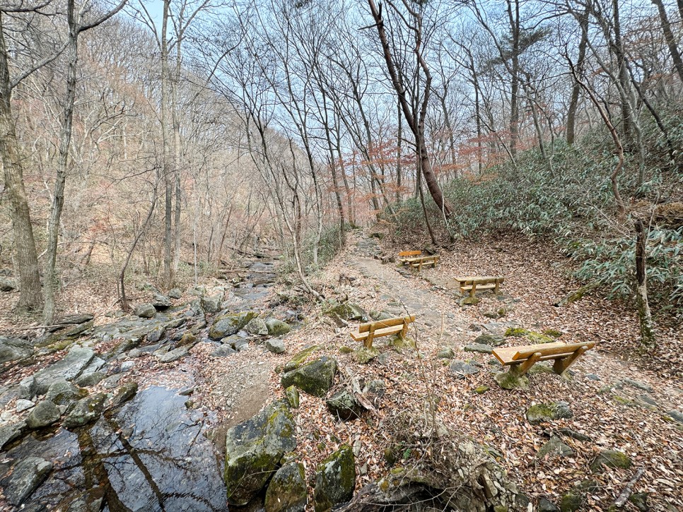 [89] 순천 조계산 반바퀴 등산, 선암사 원점회귀 (보리밥 x)