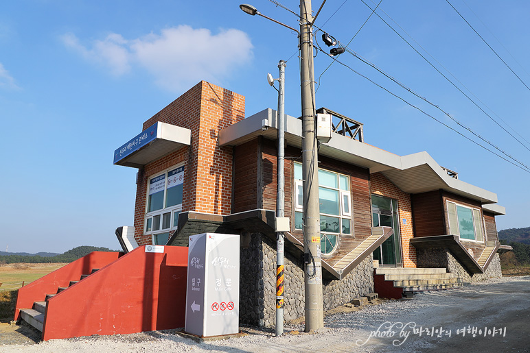 태안 신두리 해안사구 사막 풍경 태안 신두리 해수욕장