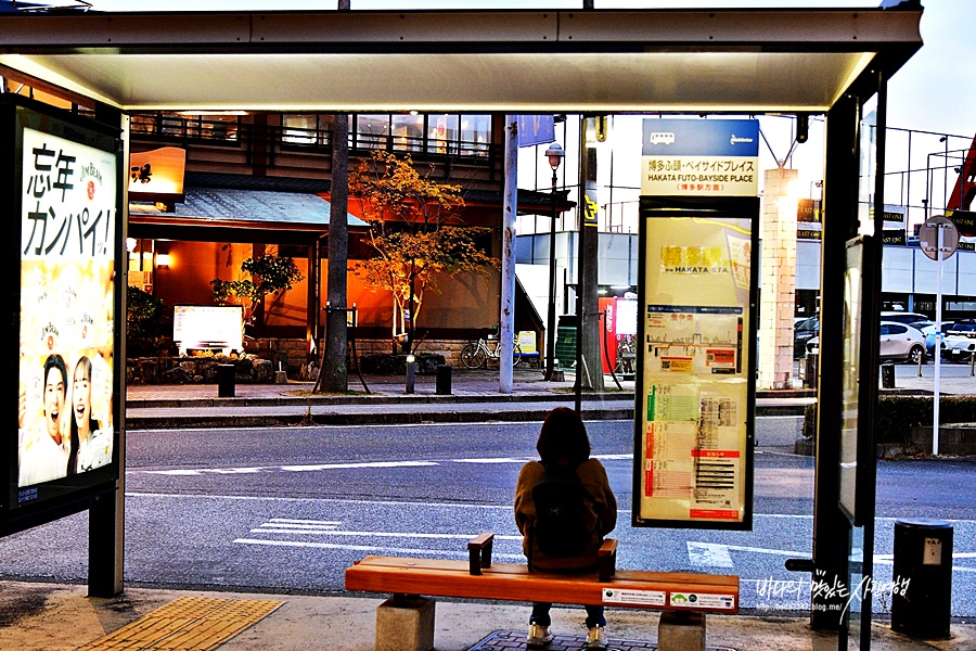일본 온천 여행 후쿠오카 나미하노유 온천 ( 시간 요금 가족탕 예약 )