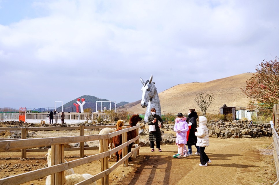 제주 애월 가볼만한곳 제주도 애월 여행 서쪽 코스 애월 아침식사 등