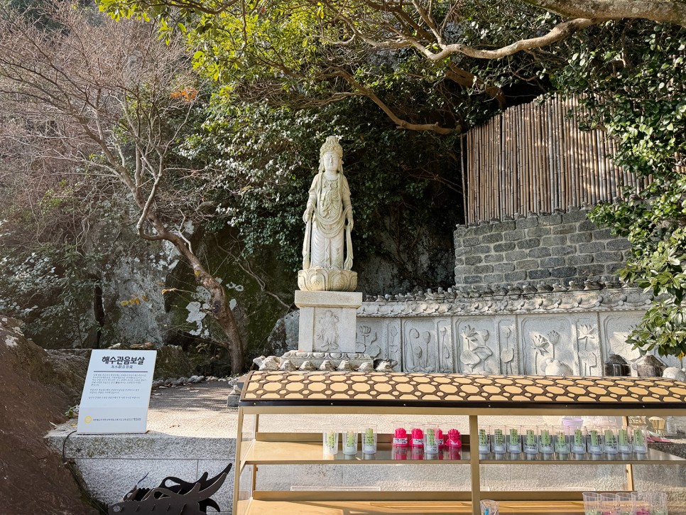 무조건 가봐야 하는 여수 여행지 <향일암> 기막힌 남해 조망