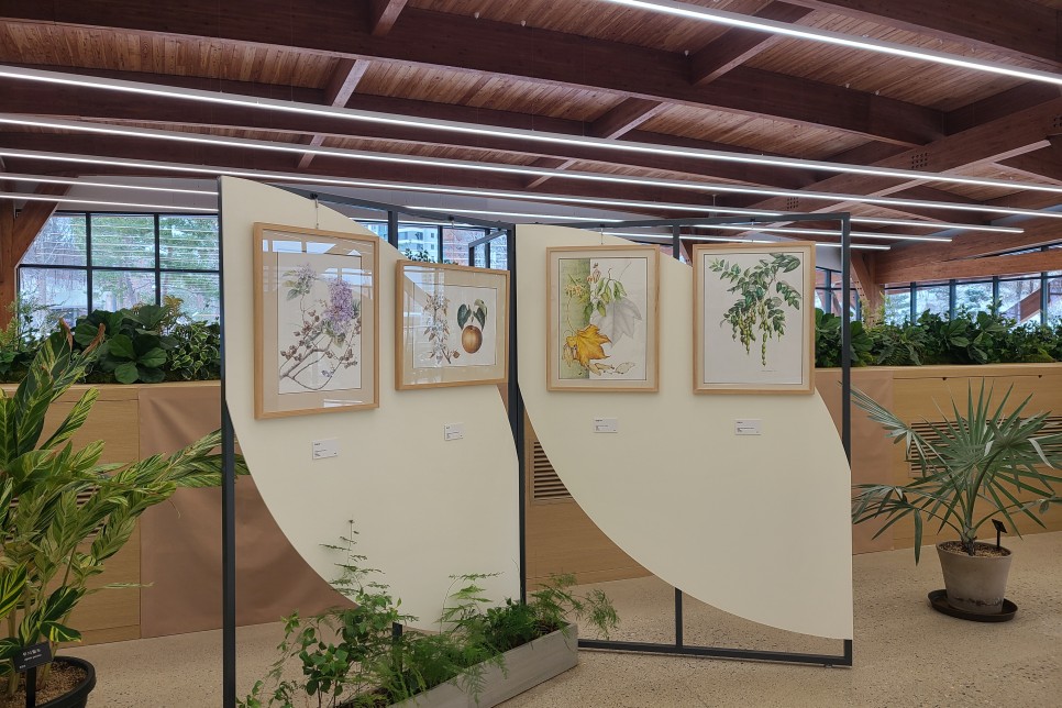수원 데이트코스 영흥수목원, 도서관과 카페가 있는 방문자센터, 따듯한 실내 온실이 있는 수목원!