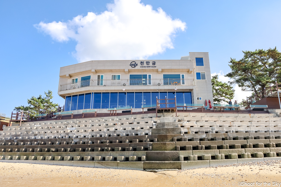 충남 여행지 가볼만한곳 태안 카페 추천 애견동반 서해 바다 오션뷰