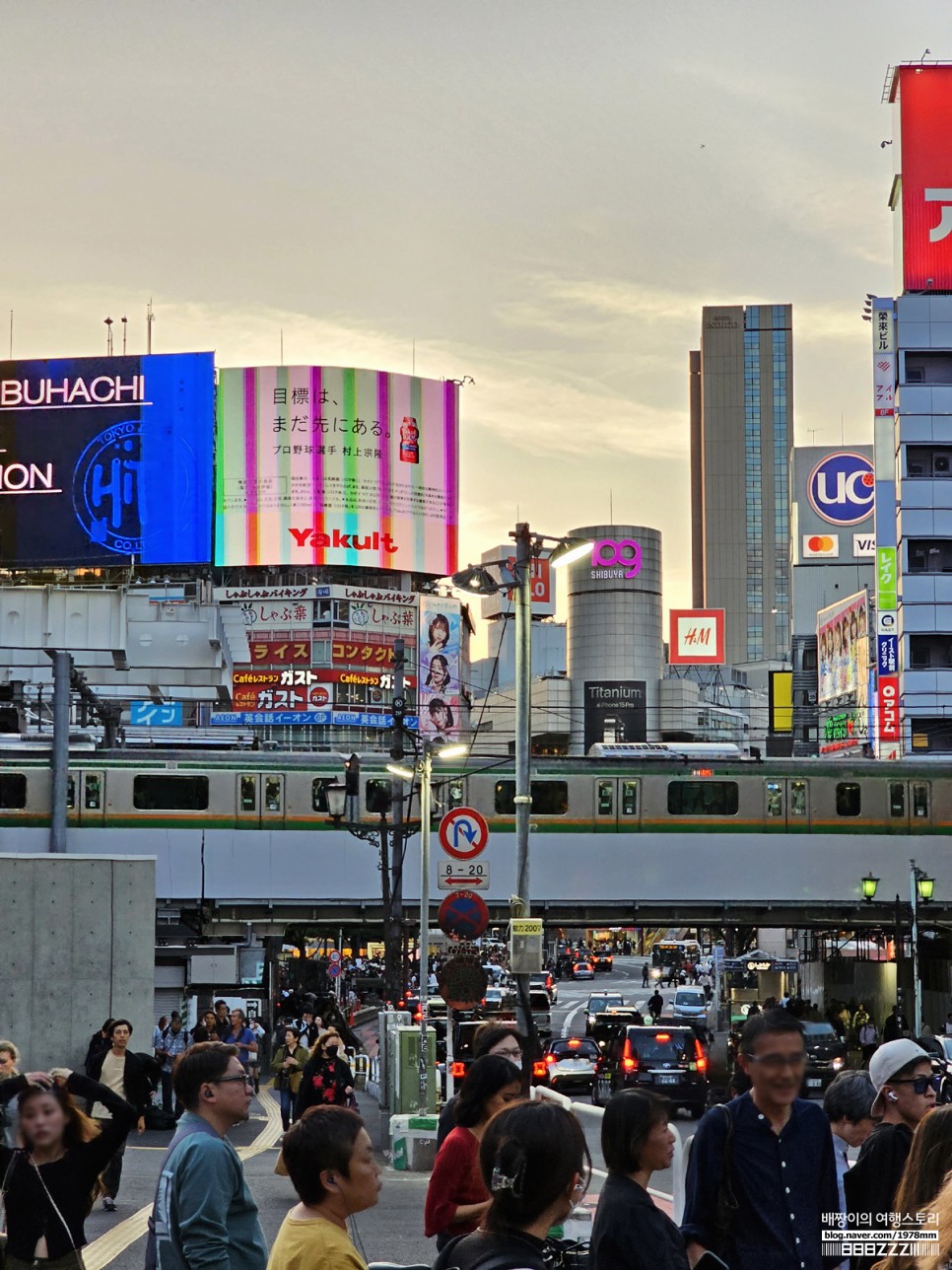 일본 도쿄 자유여행 핫플 볼거리 신주쿠 가부키초타워 · 시부야 스크램블 교차로 도쿄가볼만한곳