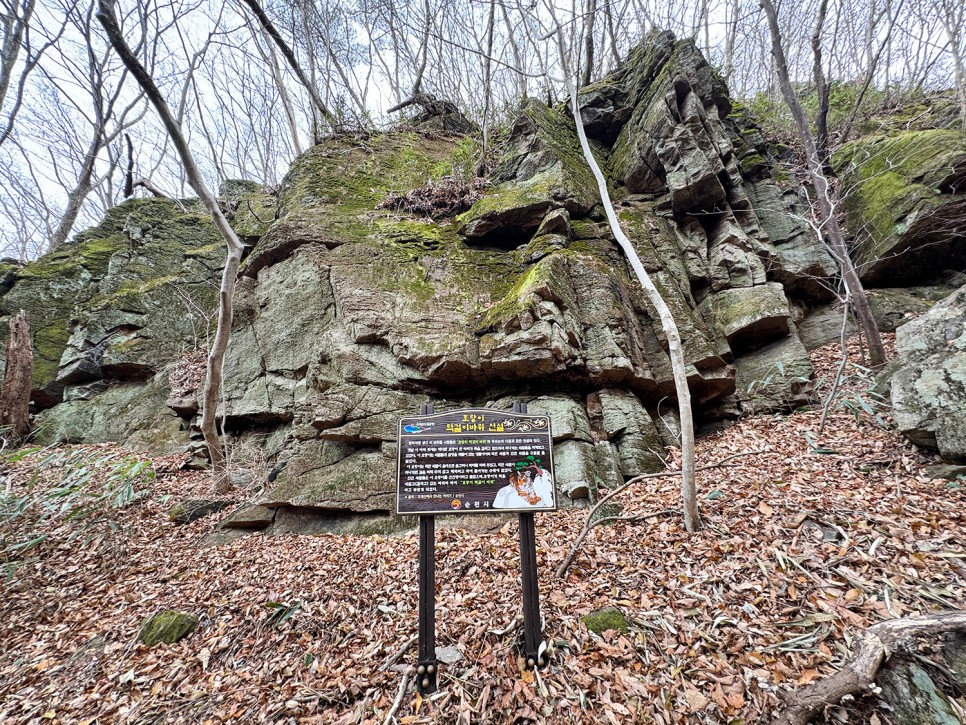 [89] 순천 조계산 반바퀴 등산, 선암사 원점회귀 (보리밥 x)