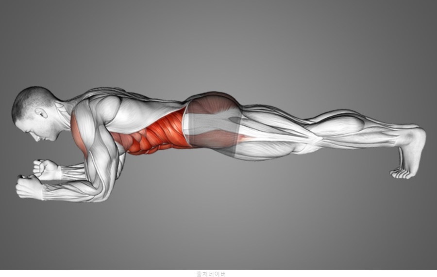 복부 비만 운동 홈트 플랭크 자세 효과