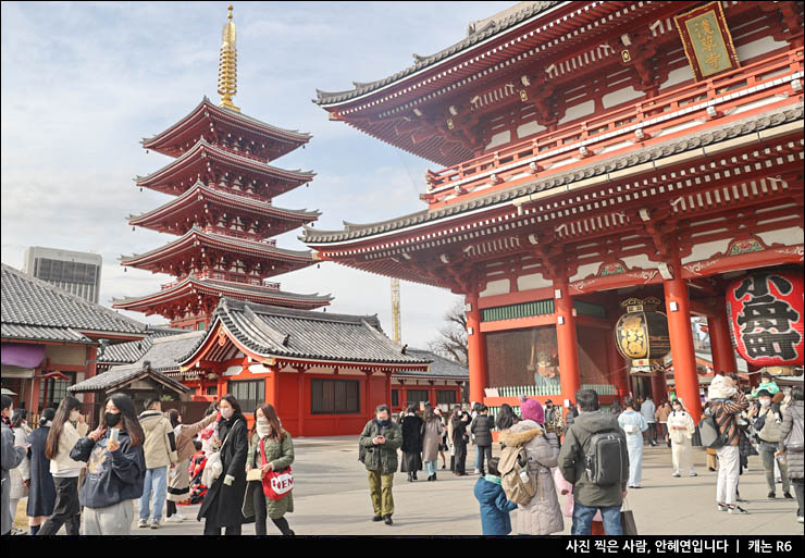 일본 겨울여행 추천 도쿄 자유여행 갈만한곳 도쿄 비행기표 예약