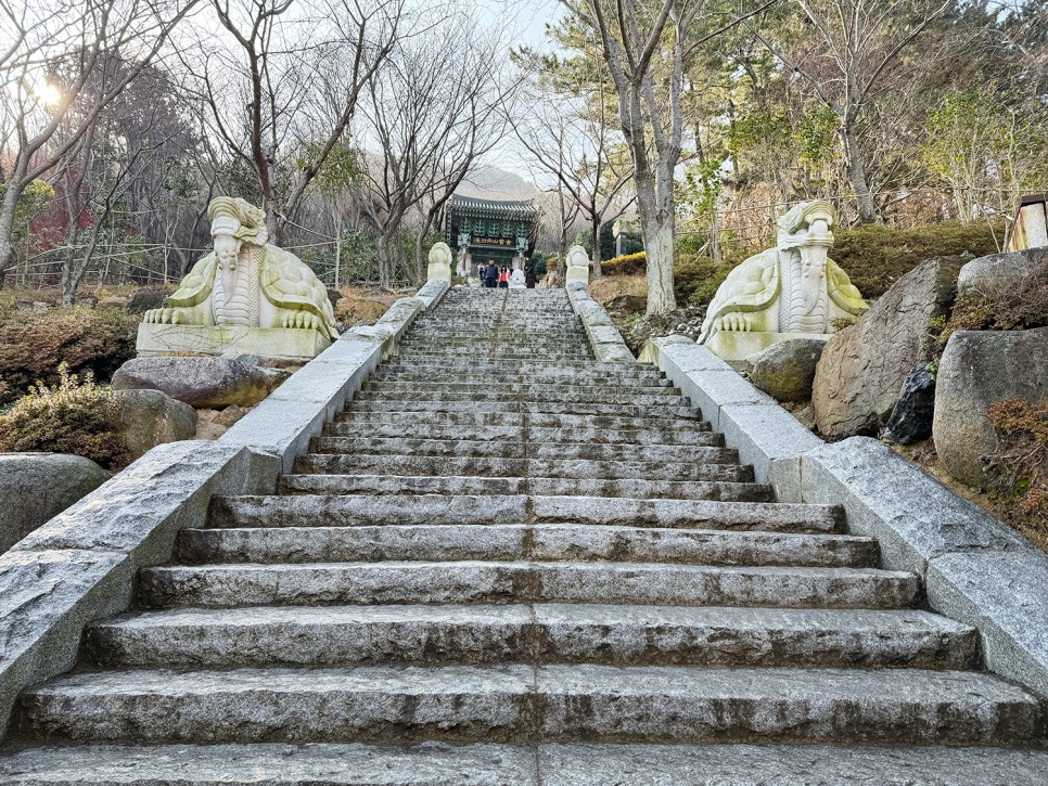 무조건 가봐야 하는 여수 여행지 <향일암> 기막힌 남해 조망