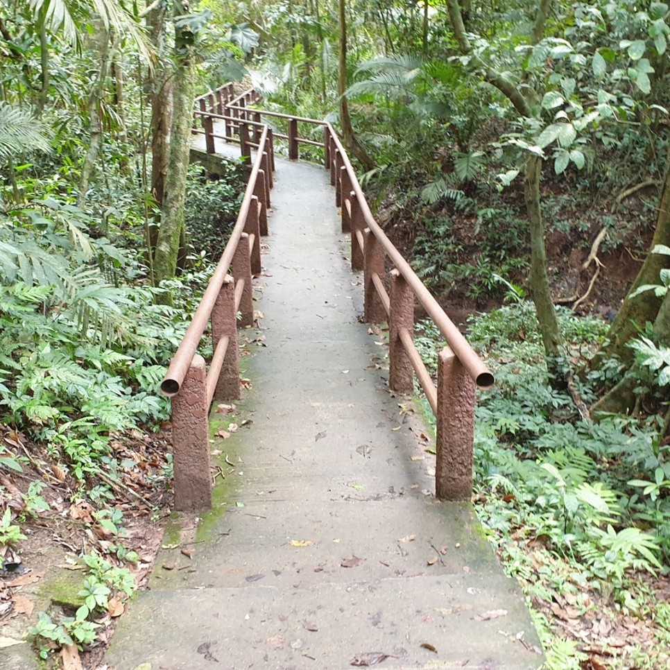 태국 밀림에 최초로 한국 국립공원 탐방로가 개통되다