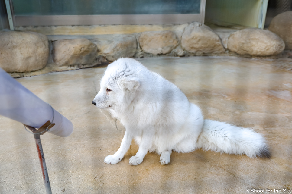 강릉 가볼만한곳 볼거리 강원도 겨울 여행 명소 핫플 데이트 코스