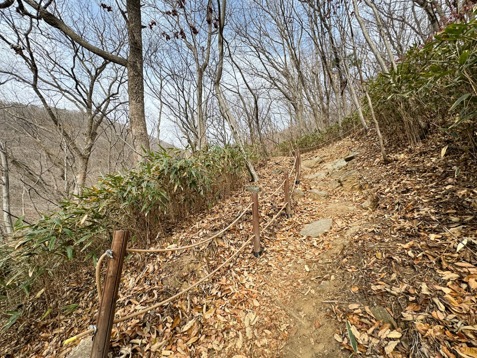 [89] 순천 조계산 반바퀴 등산, 선암사 원점회귀 (보리밥 x)