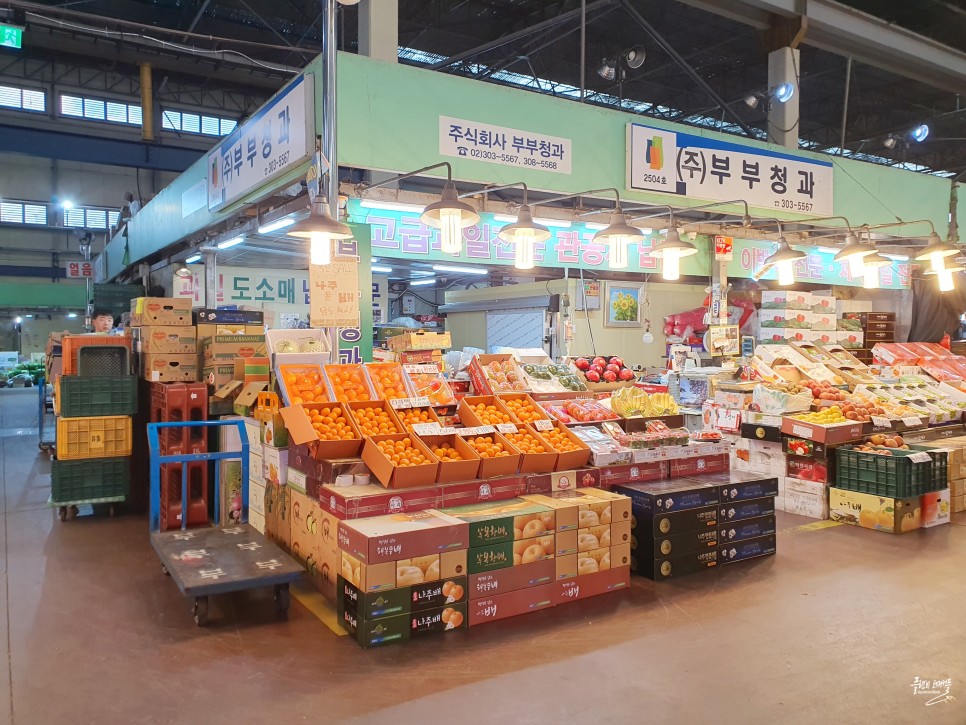 서울시장투어 마포 가볼만한곳 마포농수산물시장 맛집