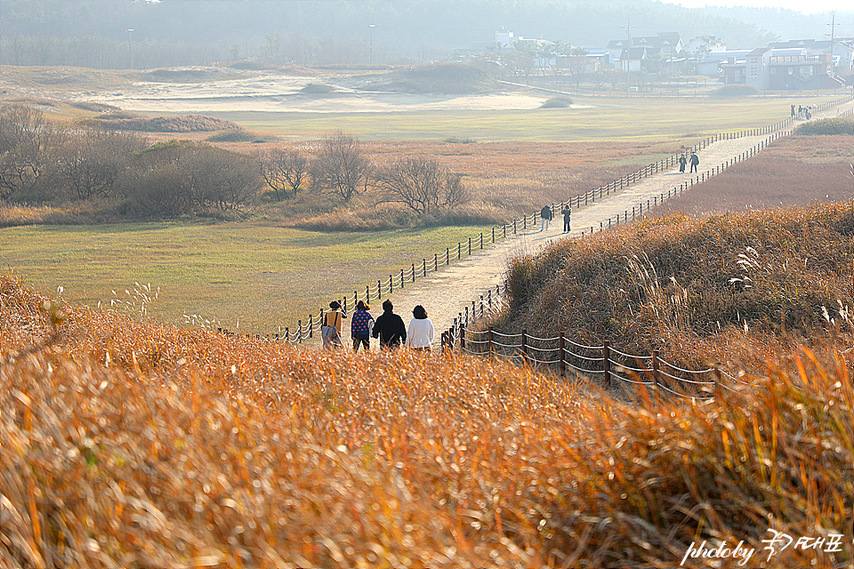 태안 가볼만한곳 서해 겨울 바다 태안 일몰 명소