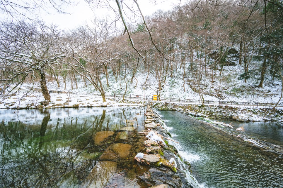 전라도 정읍 백양사 쌍계루 눈 오는 날 당일치기 여행